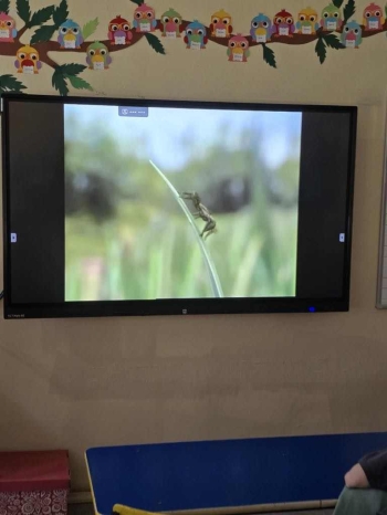 490074824_1731672270810403_6899686519077955243_n