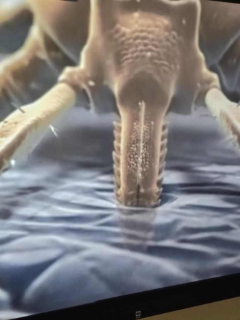 490983067_1200434761692318_891790113594142943_n