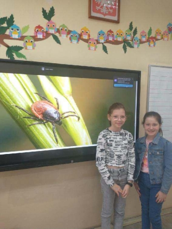 490984178_976304947945941_4286655814866226777_n