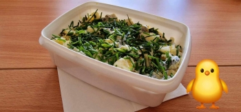 489369074_1379559613042183_5094216663713790880_n