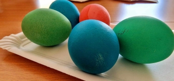 490995029_2037930850037909_5881889879531100612_n