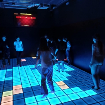 88d0cde6-b5d5-45a1-a2ce-6597a277094e