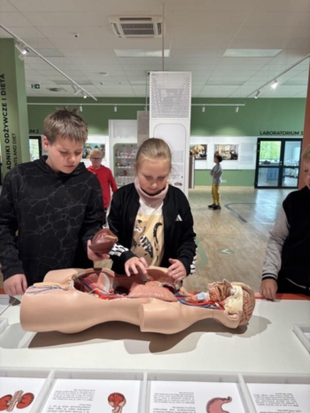 13d4d7b3-c429-41e3-b7a9-cf15667247f0