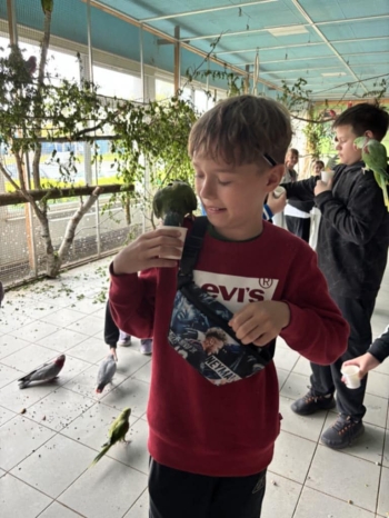 9800968b-3cec-4ad9-8247-0909a10a9889