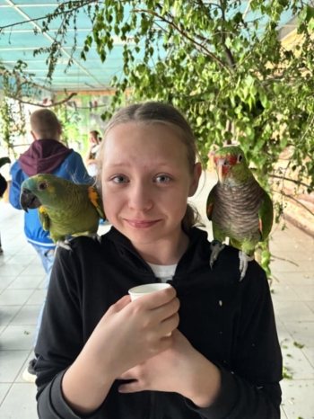 bb7da817-bd74-4a5b-8027-f5d2dfa354bc