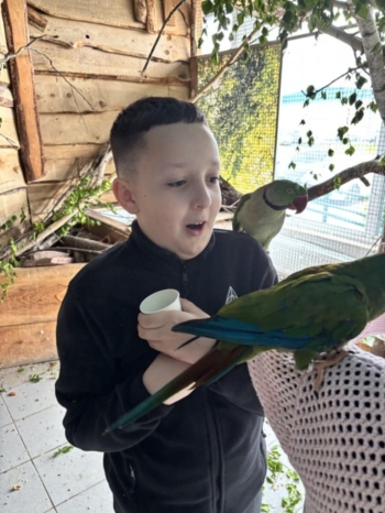 d79d56a0-d38d-47bb-b0b9-835d133eb15d