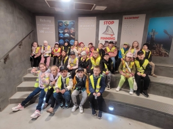 0c62efc5-8b71-4728-bfc0-027b0d3674b0