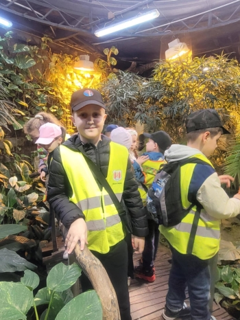 17dcb3c5-7cdd-4ce2-b8b4-fa0b3d548333