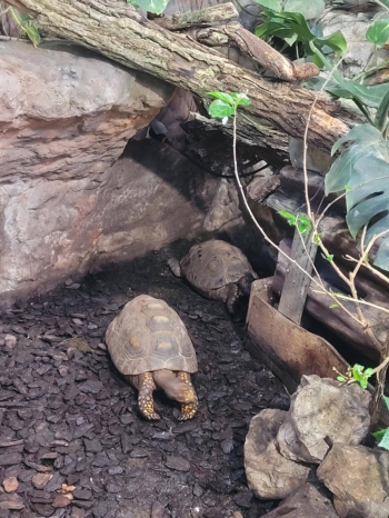 20da99be-4e78-4830-8a58-0bc71d2179d9