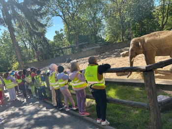 51e7f159-8735-431e-8b28-b1395cbd382d