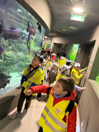 97e37689-a29b-482e-b3d7-cb1a17e9e5e7