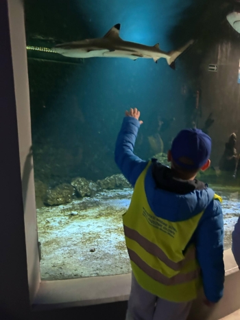 20439f74-2ffa-4b20-8da3-02ec648f02f3