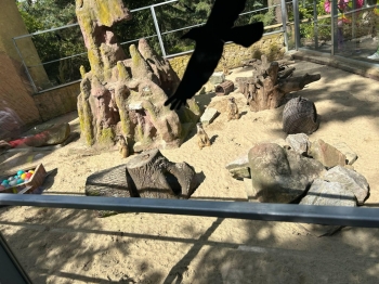 be56cea4-fada-42ae-b5cc-768f12e98064