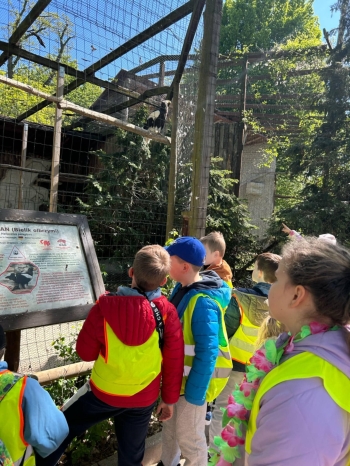 d9a8a749-320e-439d-9588-17fea416eb7c