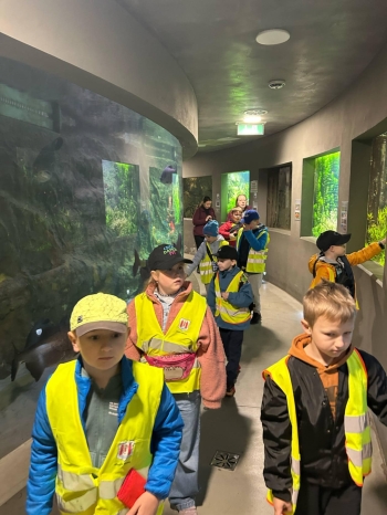 f601a435-6863-42f8-8eab-e2266923a2cb