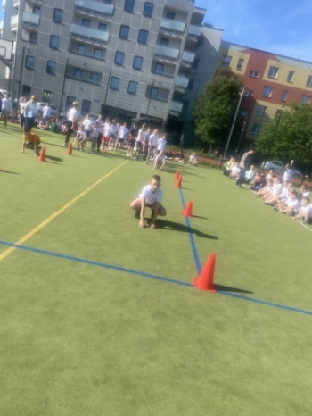 12a6a7a3-2a50-4c8a-a7ba-75208b63fdb4