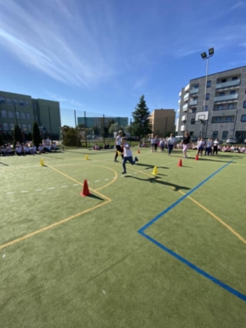 fd041fdb-37a7-453c-8286-438e338b0683