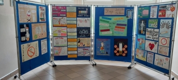 ecca5e00-9fba-411d-b5c3-94d3f29c800c