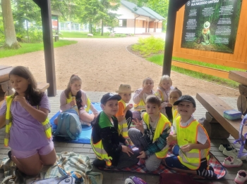 3572c919-1e7a-446a-8a2e-de15dc9b7f7d