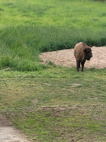 4207205c-6a59-4a95-ae7f-a16e7806ae13