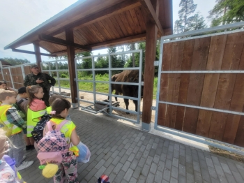 a77e44f5-0ba4-4637-8955-6006063cbfb0