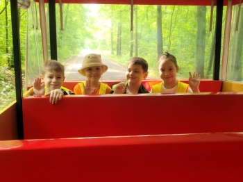 fb79952f-d8a9-426e-80e9-def823977496