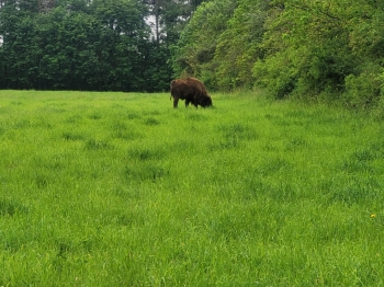 f7673940-622f-4e22-9f76-30c80f4b07c4