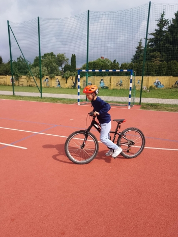 5ac871b8-5e85-46f2-8de7-08148ffc6d07