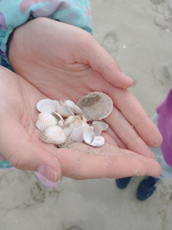 962d6495-4c6e-4236-be1a-c7bbd6fbf818