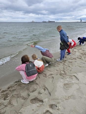 ce710484-878d-42bd-931d-e084a57aa994