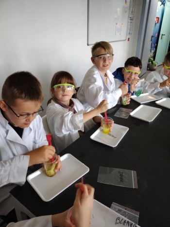 82a73074-737e-48d3-b037-95dd88d88c5b