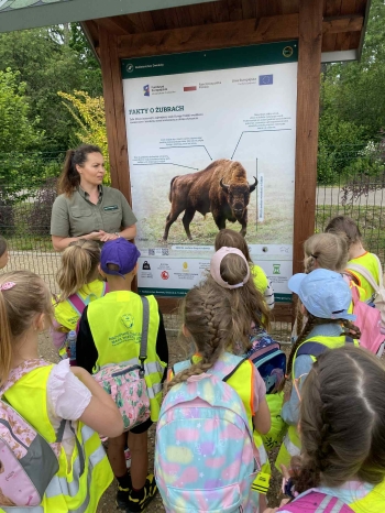 995bf9fc-c986-4d8d-b11c-77d923f79e9e