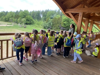 70446903-dc03-4d28-8e0d-181eb552d88e