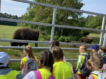 a02c4c73-1805-447a-ab72-d44ecfcab53b