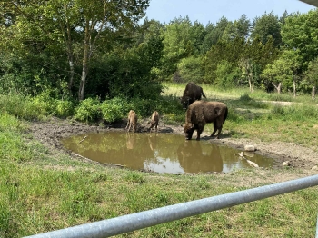 f9c0c413-6220-4a8f-bd0e-8029abc20013