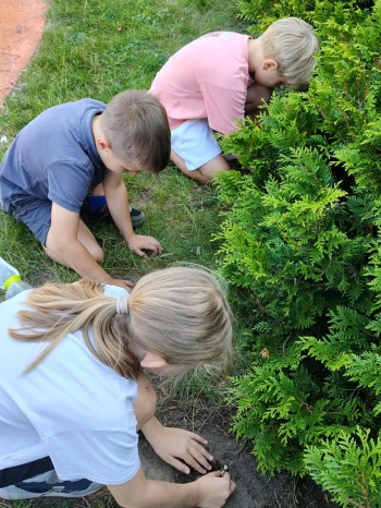 bccfc70f-a824-4afc-bd4b-4a317c0c0131