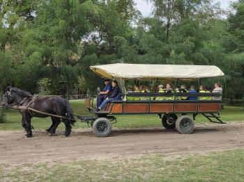 3cc2a450-9fe6-4d76-b35a-8e881eb8e705