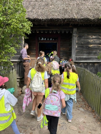 35de2b80-f9fa-44eb-9289-cb0b78d6c85d