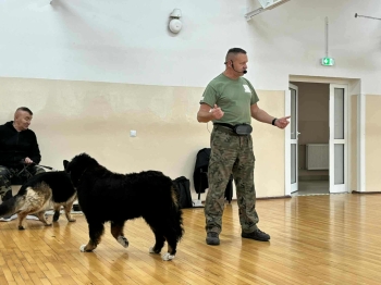 6c1f6cc6-6432-424a-99da-34c1d7d2228c