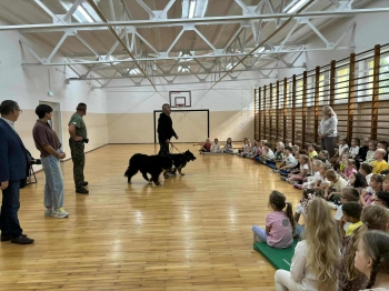 37e581db-a8a5-4efa-a319-28dda23e14f9