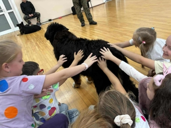 8130fe5f-5d83-407f-9205-2fc412160f67