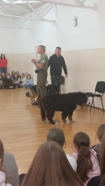 9320f3a9-6c56-445d-9374-5fa055278fff