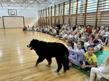 33028dc4-2cd3-4ee6-ab65-42aeb6014195