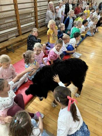 c8ff72a3-6ade-44a5-8005-05d7324b9a19