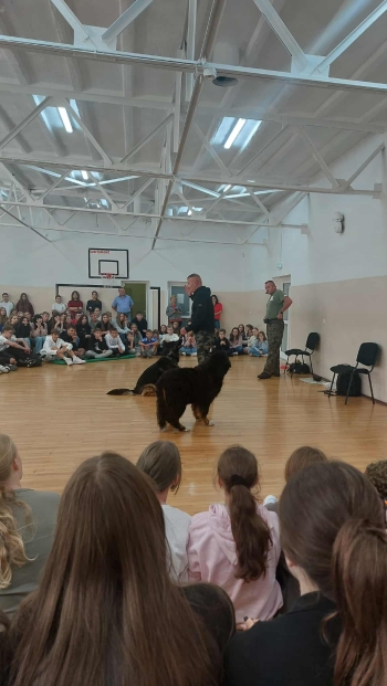 d615fefc-92cd-4d45-bebe-6b23db2dd33e