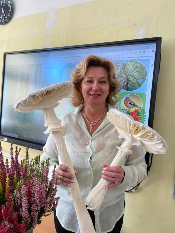 2d6d19e6-f6bf-4891-9cdb-1d2ef889ef1b