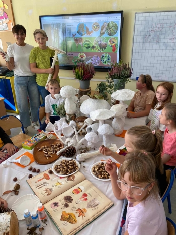 5e74ab16-77ab-489e-b862-f06816a64256