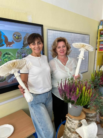 8df41a3e-7a02-4523-a9b0-ab8dc97c85b9