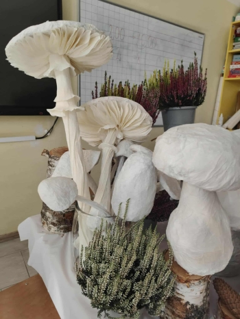 39e0999b-8058-4b8e-b9e8-80d35f6674dc