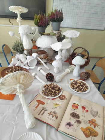 4347bacb-0e41-473c-babb-d39886ec0f9d